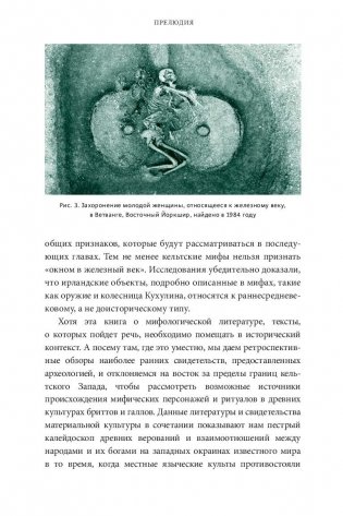 Кельтские мифы. От Короля Артура и Дейрдре до фейри и друидов фото книги 12