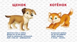 Книжки-картонки. Домашние животные фото книги 2