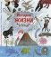 История жизни. Моя первая книга об эволюции фото книги маленькое 2