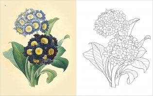 Flowers colouring book фото книги 3