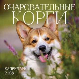 Очаровательные корги. Календарь настенный на 2026 год (300х300 мм) фото книги