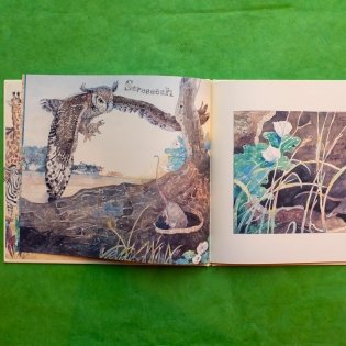 The Lion & the Mouse фото книги 7