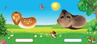 Топотун фото книги 2