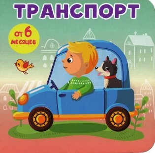 Транспорт. (Книжки-малышки на картоне) фото книги