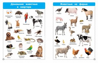 Все-все животные фото книги 2