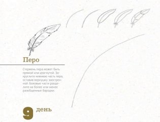 365 дней рисования. Пошаговые техники для начинающих художников фото книги 7