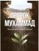Пророк Мухаммад. Жизнеописание лучшего из людей фото книги маленькое 2