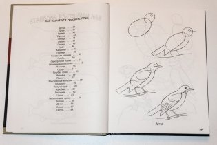 Рисование. Первые шаги фото книги 6
