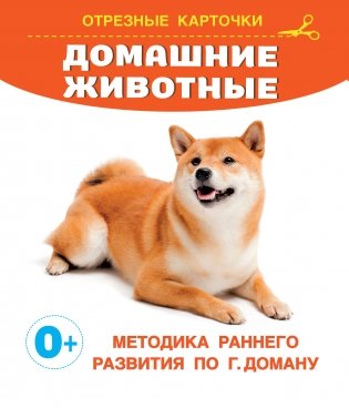 Домашние животные фото книги