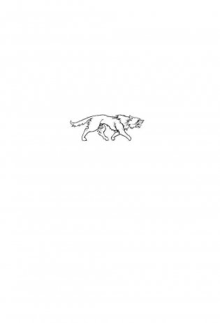 Ведьмак. Меч Предназначения фото книги 2