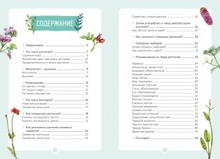 Растения вокруг нас фото книги 2