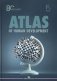 Atlas of Human Development: Multidimensional Scaling, Clustering, Spatial Data Analysis. Okunev I. (еd.) фото книги маленькое 2