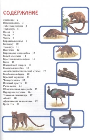 Энциклопедия. В мире знаний. Необычные животные фото книги 2