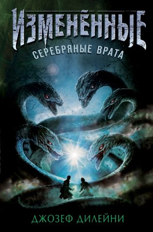Серебряные врата фото книги