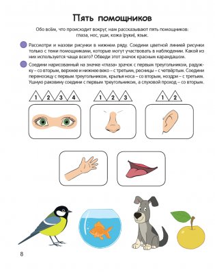 Умней-ка. 5—6 лет. Экологическая мозаика. ГРИФ фото книги 5