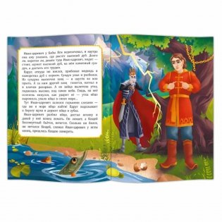 Царевна-лягушка фото книги 3