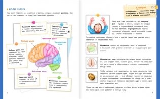 Настольная книга ученика начальной школы фото книги 5