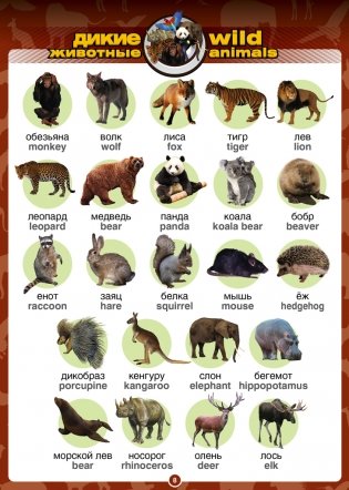 Говорящий англо-русский и русско-английский словарь с картинками (книга для говорящей ручки) фото книги 7