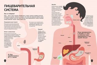 Тело человека. Визуальный гид фото книги 3