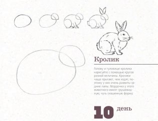 365 дней рисования. Пошаговые техники для начинающих художников фото книги 6