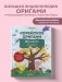 Корейское оригами. 200 моделей для обучения и развлечения фото книги маленькое 3
