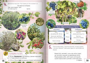 Ласункі агарода, саду, лесу. Узбагачаем слоўнікавы запас, выконваем заданні, пашыраем кругагляд (6-10 гадоў) фото книги 7