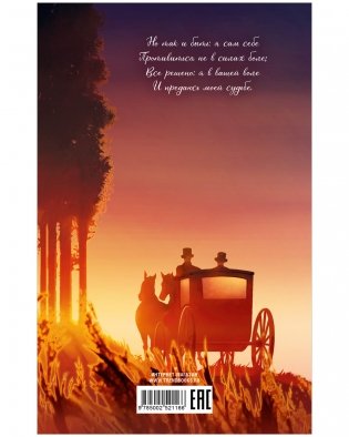 Евгений Онегин. Сборник о любви фото книги 10