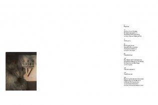 Ara Guler: a Play of Light and Shadow фото книги 2