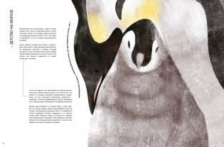 Детёныши животных в натуральную величину фото книги 6