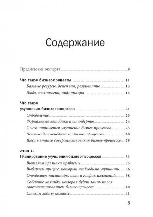 Руководство по улучшению бизнес-процессов фото книги 2