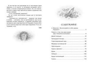 Премудрый пескарь и другие сказки фото книги 7