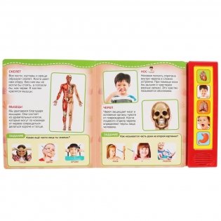 Тело человека фото книги 3