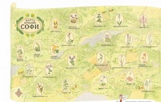 Софи в мире цветов фото книги 10