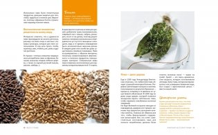 Beer Expert: Пиво. Идеальный путеводитель по сортам, видам, рецептам фото книги 5