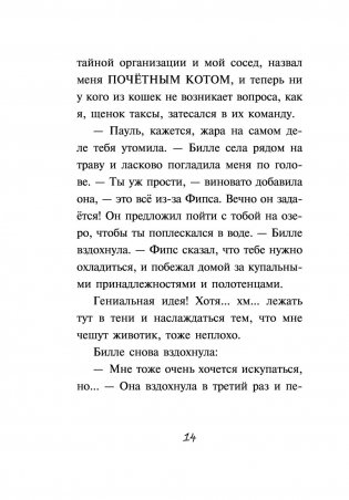 Кошачий секрет фото книги 15