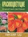 Красивоцветущие комнатные растения фото книги маленькое 2