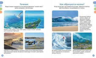 Море и его обитатели фото книги 4