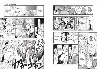 Стальной Алхимик. Книга 13 фото книги 5