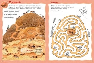 Кто живёт в лесу? Книжка-активити с развивающими заданиями, головоломками, наклейками фото книги 5