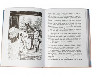 Я - сестра Тоторо фото книги 3