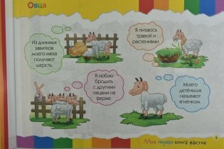Моя первая книга фактов. Ферма фото книги 2