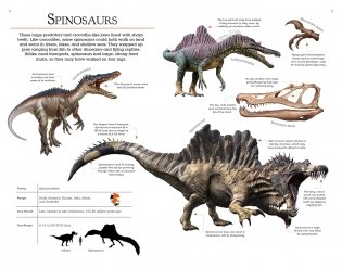 Dinosaurs: Book and Fact Cards фото книги 6