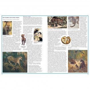 Загадки животного мира фото книги 4