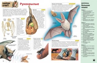 Интерактивная энциклопедия для школьников фото книги 2