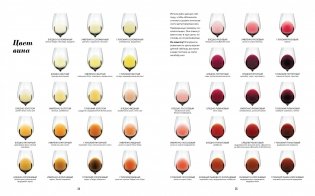 Wine Folly. Издание Магнум, детализированное фото книги 3