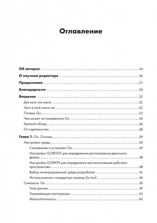 Black Hat Go: Программирование для хакеров и пентестеров фото книги 2