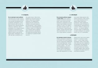 Малыши. Время чудес (0–2 года) фото книги 3