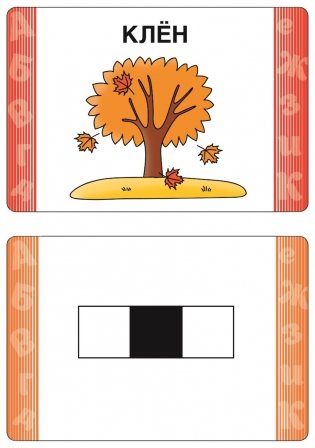 Развивающие карточки. Обучение грамоте фото книги 2