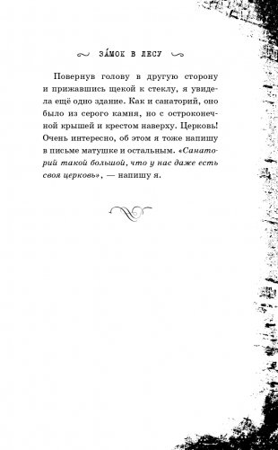 Малиновый холм, или Дом страха фото книги 28