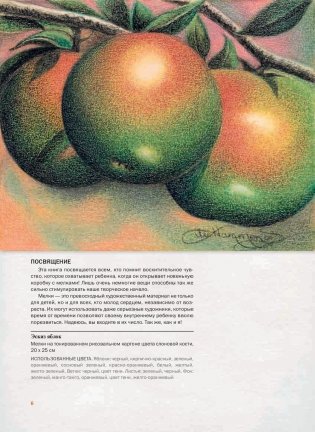 Удивительное рисование мелками. Руководство фото книги 3